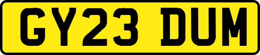 GY23DUM