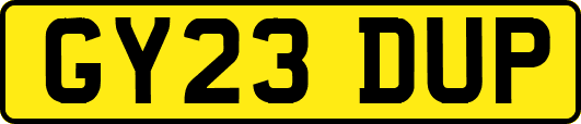 GY23DUP