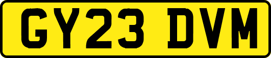 GY23DVM