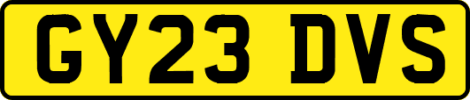 GY23DVS