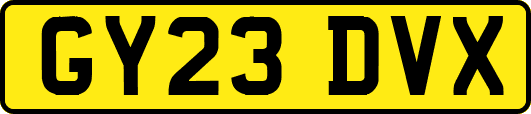 GY23DVX