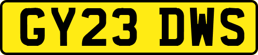 GY23DWS