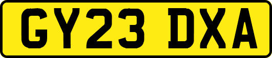 GY23DXA