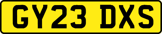 GY23DXS