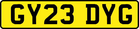 GY23DYG