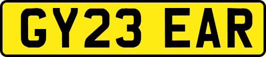 GY23EAR