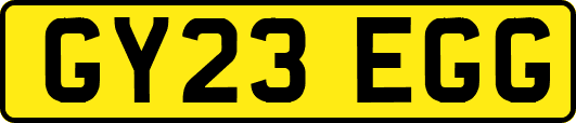 GY23EGG