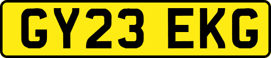 GY23EKG