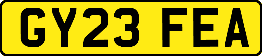 GY23FEA