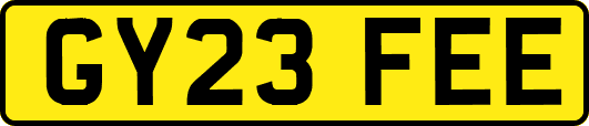 GY23FEE