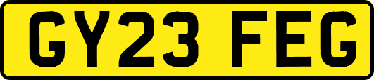 GY23FEG