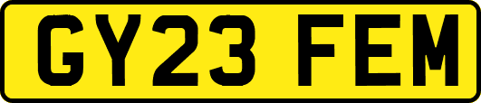 GY23FEM