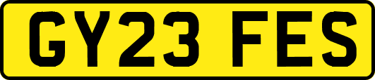 GY23FES