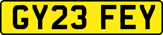 GY23FEY