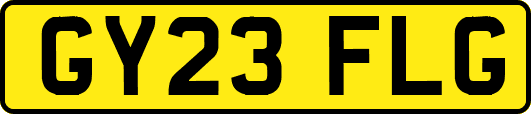 GY23FLG