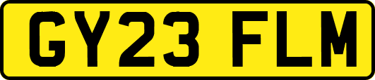 GY23FLM