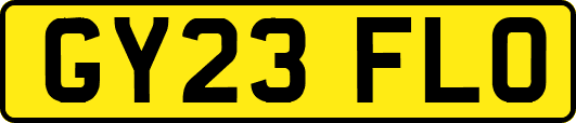 GY23FLO