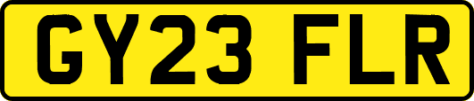 GY23FLR