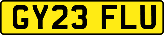GY23FLU