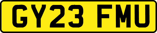 GY23FMU