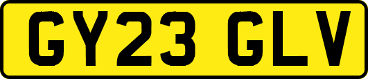 GY23GLV