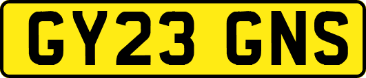 GY23GNS