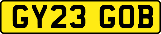 GY23GOB