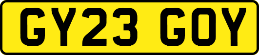 GY23GOY