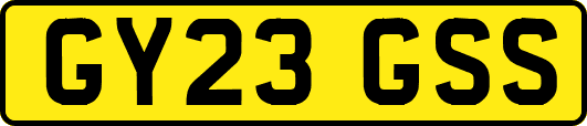 GY23GSS