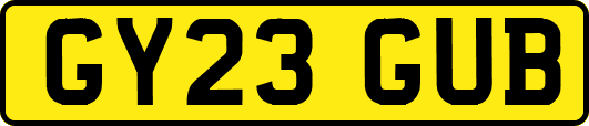 GY23GUB