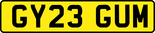GY23GUM