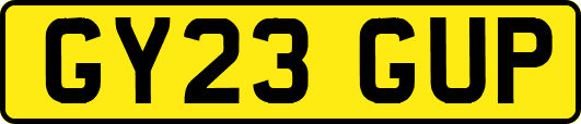 GY23GUP