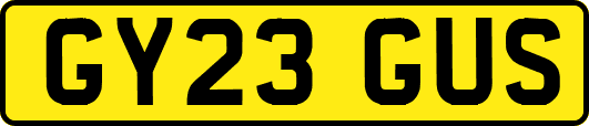 GY23GUS