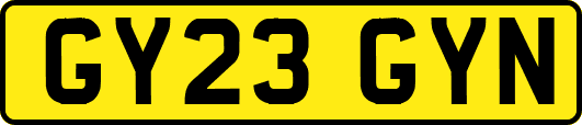 GY23GYN