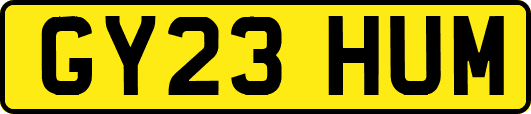 GY23HUM