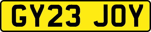 GY23JOY