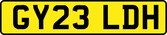 GY23LDH