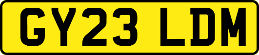 GY23LDM