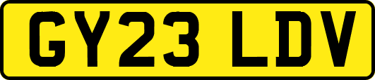 GY23LDV