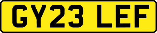 GY23LEF