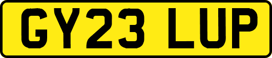 GY23LUP