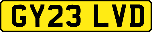 GY23LVD