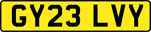 GY23LVY