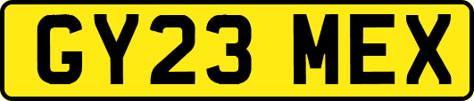 GY23MEX