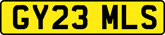 GY23MLS