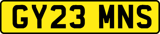 GY23MNS