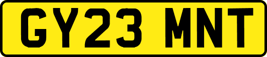 GY23MNT