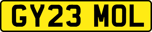 GY23MOL