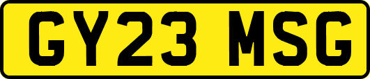 GY23MSG