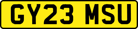 GY23MSU